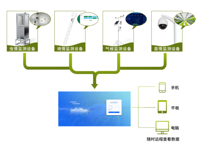 农业四情监测，智能化、自动化